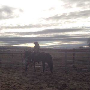 Meet your Posh Ambassador